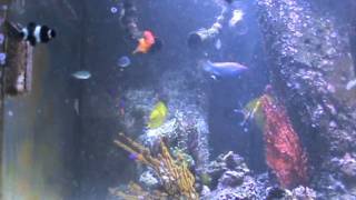 Feeding Frenzy 10 5 09