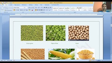 Unit 3 /Developmental Journey of Seed /Part 1