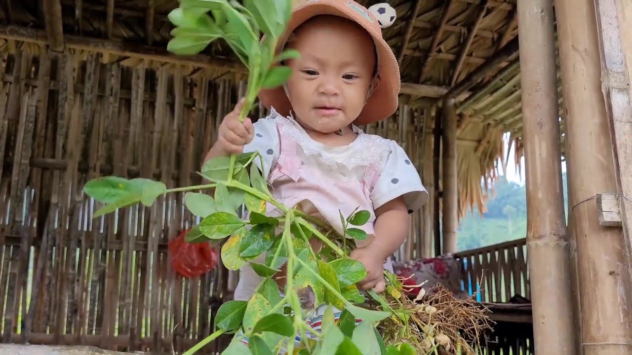 Poor mother & daughter collecting watermelons to the market to sell to earn extra income