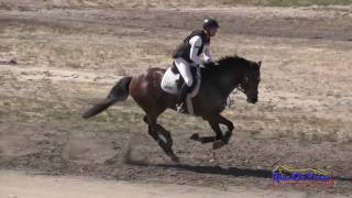 098Xc Matthias Schwarz On Kortesyde Open Preliminary Cross Country Galway Downs April 2017