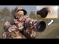 How I Photographed This Turkey Vulture!