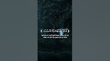 سورة القصص|القارئ:زياد محمد حامد