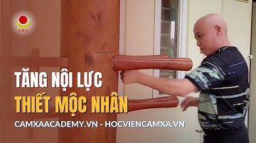 LUYỆN TĂNG NỘI LỰC CÙNG THIẾT MỘC NHÂN 0981 559559 | THẦY CẢM XẠ NGUYỄN NGỌC SƠN | VIỆN I.B.V.