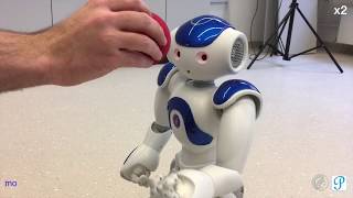 How to create a reactive robot application for Nao (with Playful)
