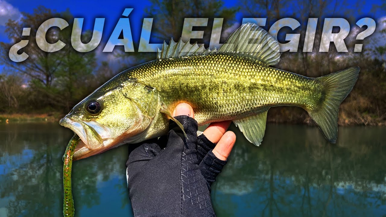 Cómo ELEGIR SEÑUELO para Pescar Lobina