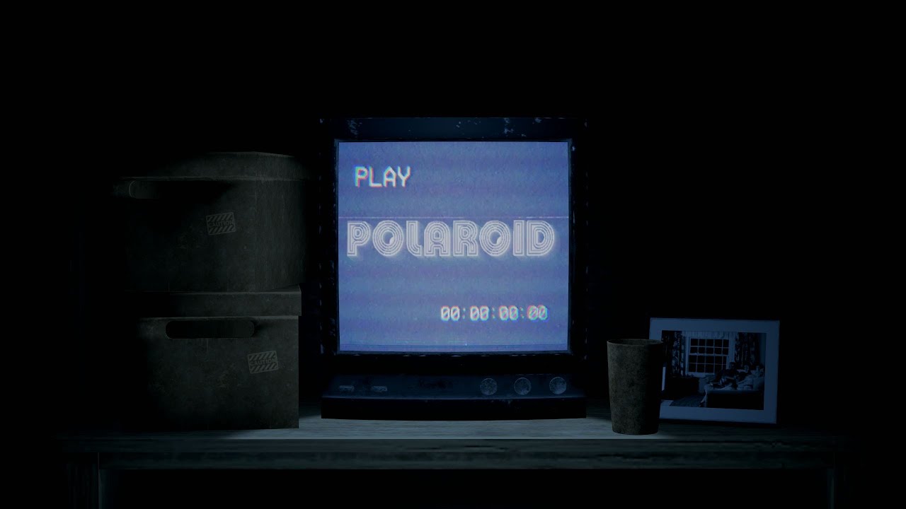 Project Polaroid (Rec Room)