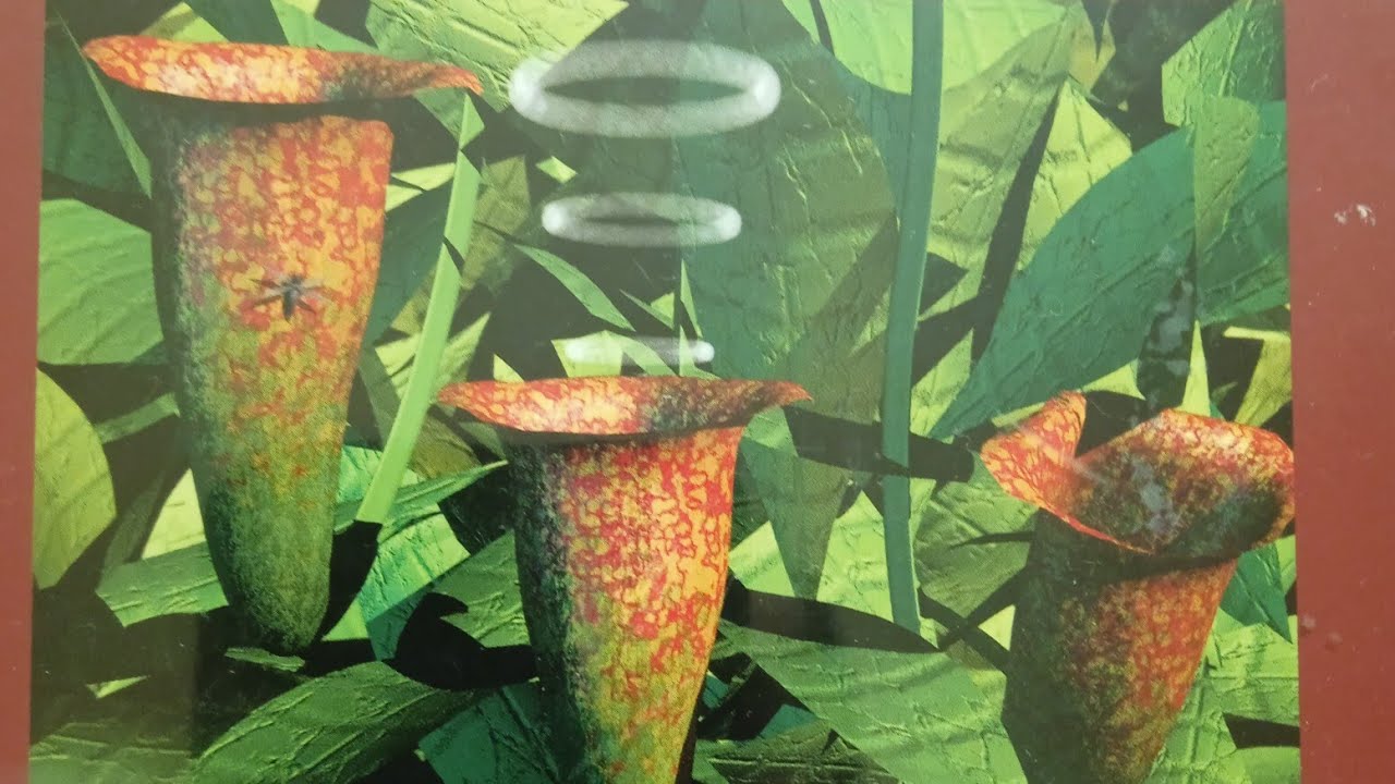 🔵Artificial intelligence II 💜 Warp Records 💚 Sony Records ❤ LTD Edition CD 0,1 🧡 Speedy J "Symmetry"