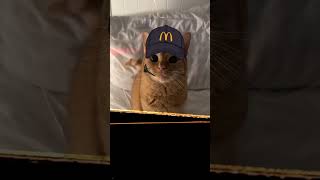 i got the SNACKS😏