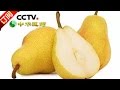 《中华医药》 20161023 洪涛信箱：滋阴清燥 救肺有方 | CCTV-4