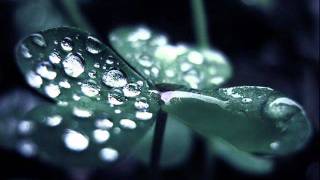 rain and tears - yesterday piano chords