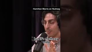 #joerogan #shorts #ytshorts #nutmeg