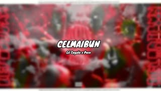 Lil Cagula x Paco - CELMAIBUN (Versuri)