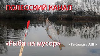 Плотва с густерой есть, а где полесская щука?