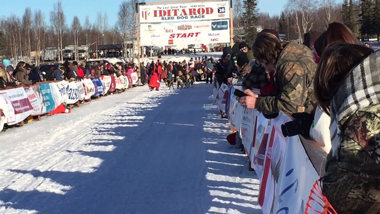 Lars Monsen, Iditarod 2016