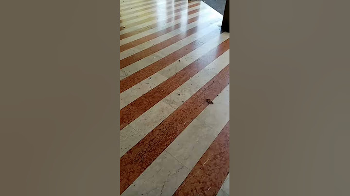 Auguri di buon ferragosto anche ai finti amici