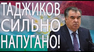 МВД Таджикистана о смерти врача: «От удара кулака кондуктора он упал и ударился об бетон»