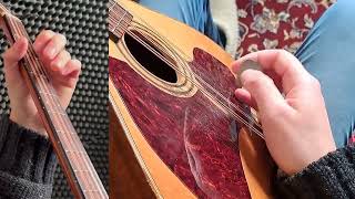 Irish Bouzouki Learning Material - The Wind That Shakes The Barley