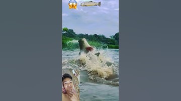 Câu cá.Săn quái vật Hải Tượng Long