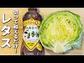 【無限レタス】和えるだけの簡単レシピ!包丁もまな板も必要なし!さっぱり美味しい中華風サラダ 箸が止まらない絶品副菜レシピ