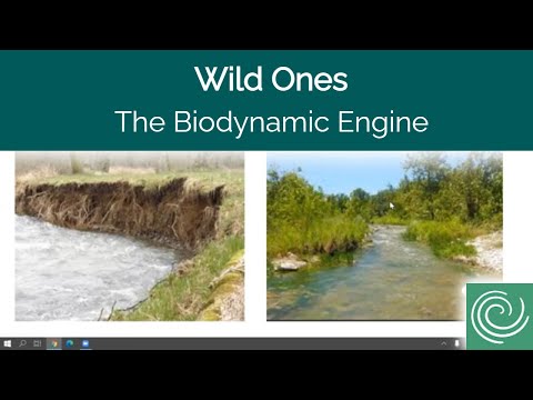 The Biodynamic Engine That Drives Our Ecosystem