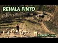 MONTERÍA REHALA PINTO 2019. VILLAVICIOSA DE CÓRDOBA (HUNTING)