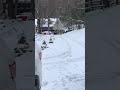 Goldendoodle Loving the Snow! Marla Beast!!!