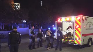 Woman hurt after man shoots at ship at Chicago's Navy Pier