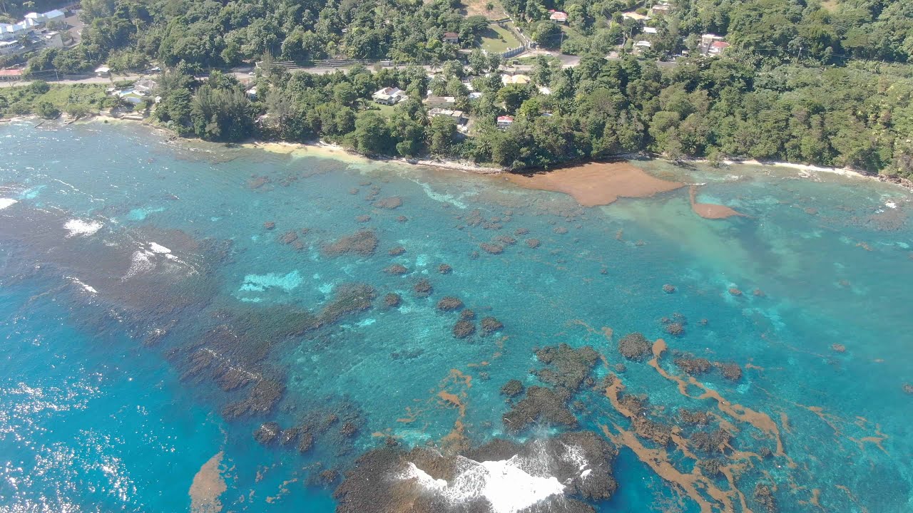 Замок Гордон, Сент-Мэри, Ямайка