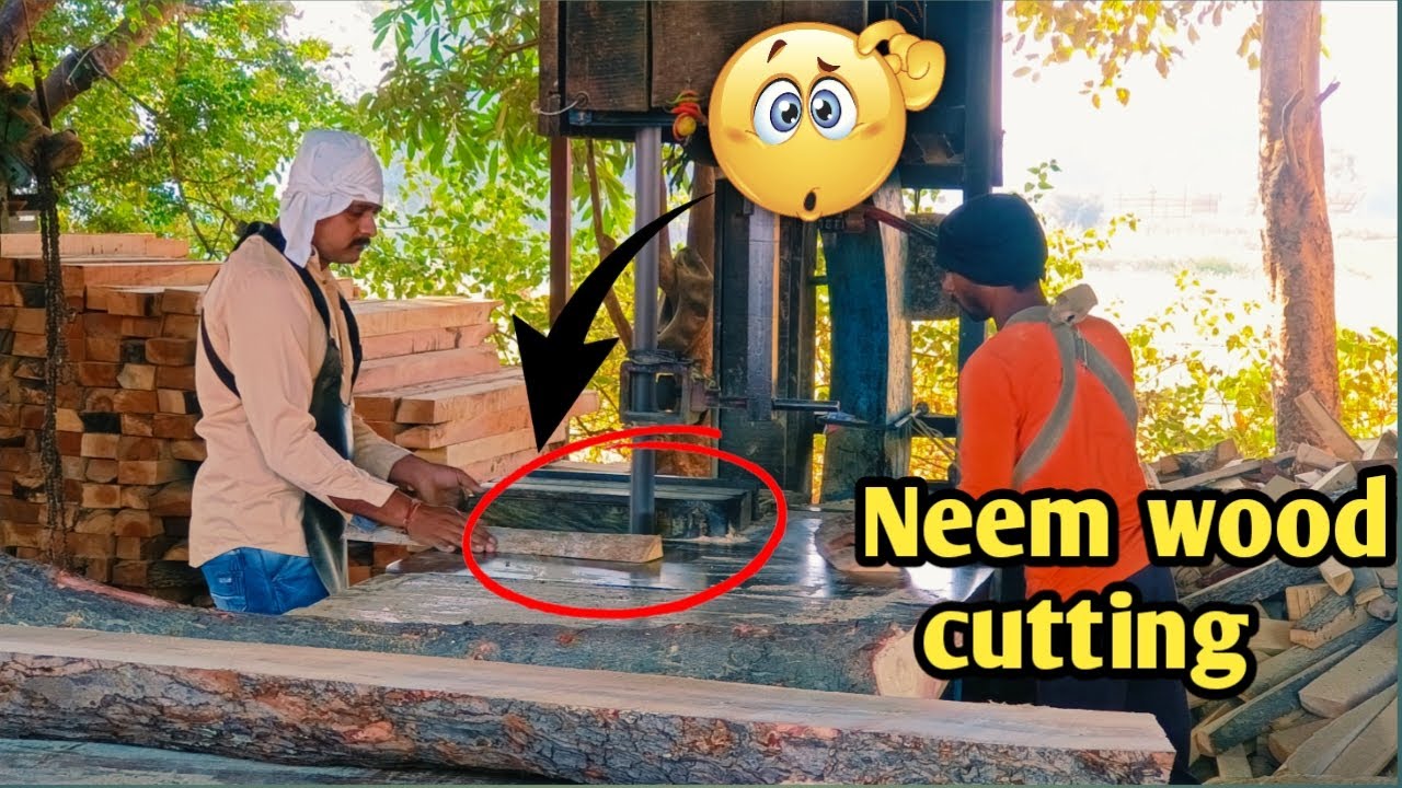 sawmill wood cutting techniques in the world | fast sawmill wood ...