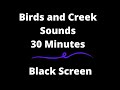 Birds and Creek Sounds-Nature Sound Relaxing Bird songs with water Black Screen Dark Screen