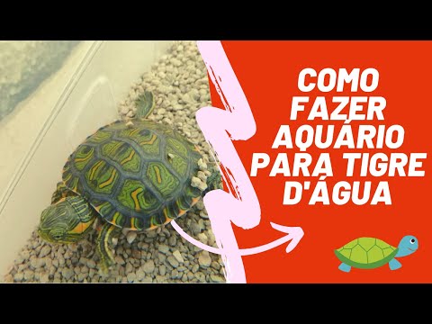 Vídeo: Como Fazer Um Aquário De Tartarugas