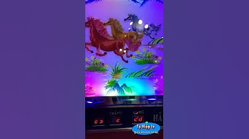 #Shorts Đồng Hồ Cảnh Mã Đáo Thành Công