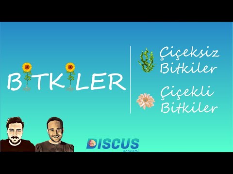 Video: Eğrelti Otu Bitkilerini Bölmek - Eğrelti Bitkilerini Bölmek İçin En İyi Zaman Nedir