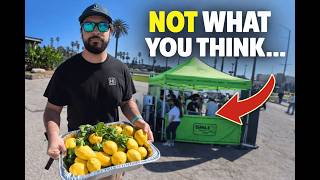 We Turned A Hash Machine Into This
