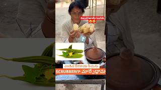 ఎండిన బీరకాయ పీచును SCRUBBERగా మార్చేద్దామా😯👌#loofah #ecofriendlycrub #telugushorts #ytshorts #viral