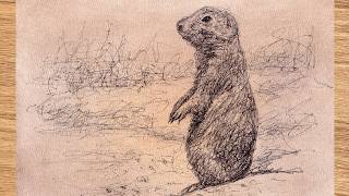 prairie dog biro pen sketch scribble art style