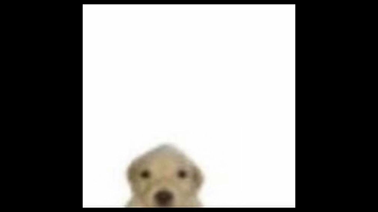 eat your bible- the dog album (demos and unfinished songs)