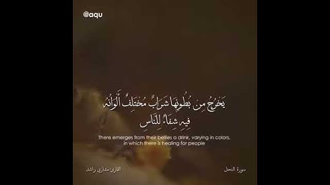 حالات واتس أب دينية || وأوحى ربك إلى النحل أن اتخذي من الجبال... || القارئ مشاري العفاسي||سورة النحل