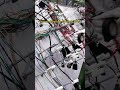 This Wiring Harness Factory Looks Crazy