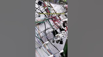 This wiring harness factory looks crazy