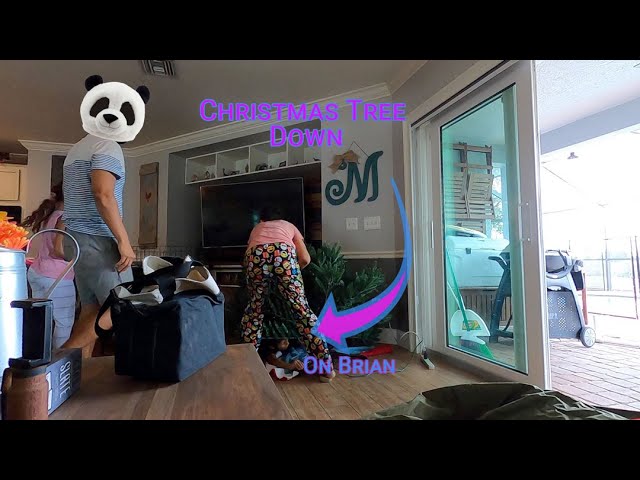 Setting up for Christmas during a Florida Winter |...