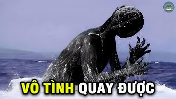 30 Sinh Vật Huyền Bí Được Ghi Lại Bằng Camera Và Chỉ Xuất Hiện Một Lần | TUYỆT MẬT TV