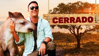 Cerrado | Biomas do Brasil | Ep.9