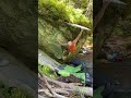 Morgenlatte 7B - Magic Wood