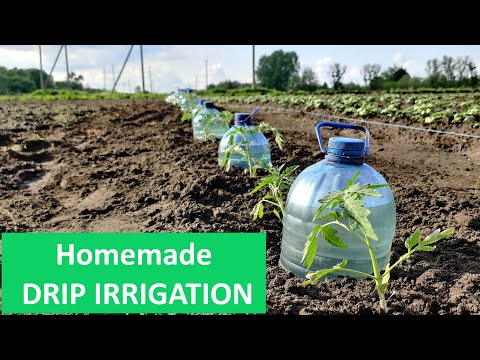 Simple & Quick Drip Irrigation System for Growing