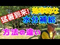 【登山】水分補給の仕方の違いで効率も違う！皆様のスタイルは大丈夫ですか？