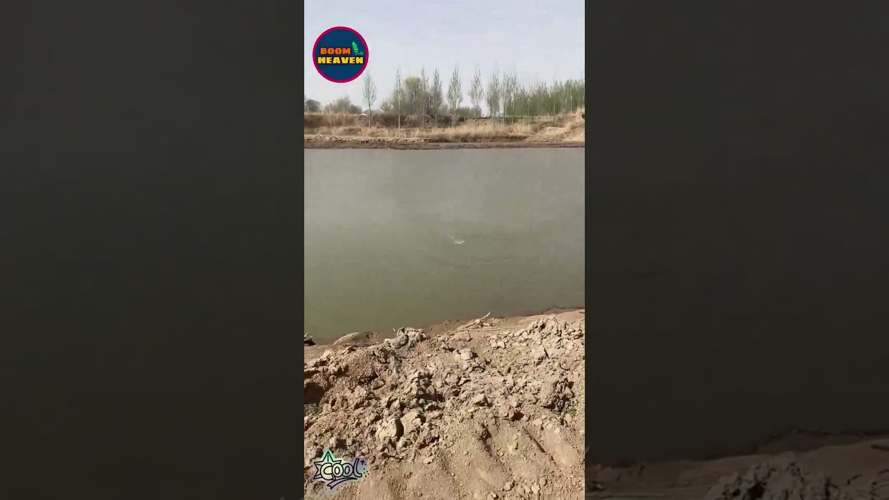 🐉A "water dragon" shot up from the center of the pond.