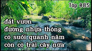chị lan rao bán đất vườn có thổ cư có suối có trái cây ở bà rịa vũng tàu
