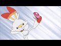 Goh catches scorbunny