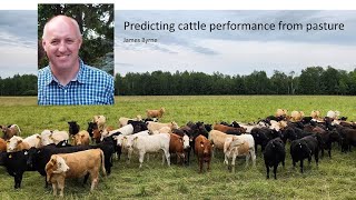 Predicting cattle performance from pasture